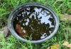 CPS Urges Residents to Eliminate Mosquito Breeding Sites Following Heavy Rainfall