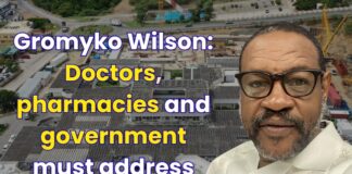 Gromyko Wilson: Doctors, pharmacies and government must address long ER waiting times