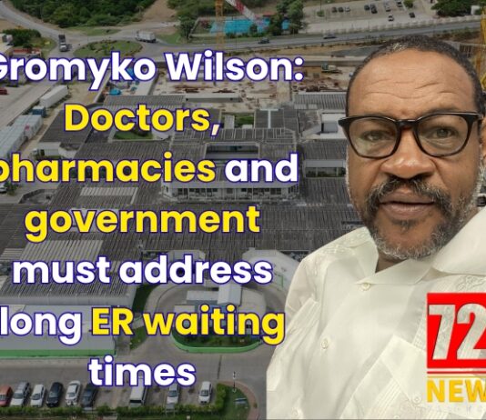 Gromyko Wilson: Doctors, pharmacies and government must address long ER waiting times