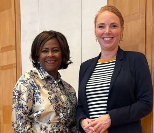 Minister Plenipotentiary Arrindell Meets with Dutch State Secretary for Digital Economy and Sovereignty Aerdts