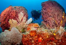 STATIA SETS SIGHTS ON CANADIAN MARKET AT OTTAWA’S PREMIER 55+ LIFESTYLE TRAVEL SHOW