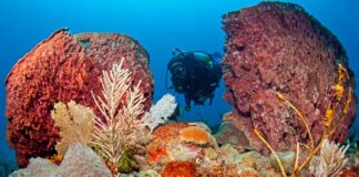 STATIA SETS SIGHTS ON CANADIAN MARKET AT OTTAWA’S PREMIER 55+ LIFESTYLE TRAVEL SHOW