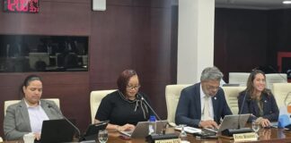DAY 4: Continuation Central Committee meeting of Parliament on the draft National Ordinance stipulating the Budget for Country Sint Maarten for the service year 2027