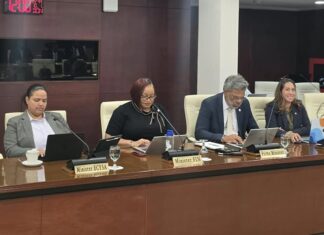 DAY 4: Continuation Central Committee meeting of Parliament on the draft National Ordinance stipulating the Budget for Country Sint Maarten for the service year 2027