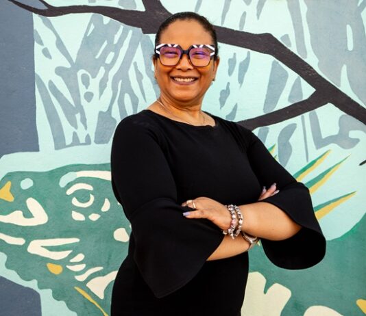 BHM has cleared most of a multi-year backlog in the audited annual accounts of its subsidiaries, with 36 of 43 audited financial statements now formally adopted by shareholders