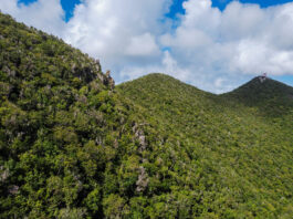 Nature Foundation backs plan for Sint Maarten’s first terrestrial park, urges follow-through