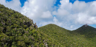 Nature Foundation backs plan for Sint Maarten’s first terrestrial park, urges follow-through