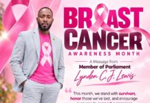 MP Lewis Shares Personal Tribute and Message of Support for Breast Cancer Awareness Month
