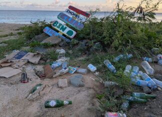 ICC Organisers Raise Concerns Over Littering at Little Bay Beach