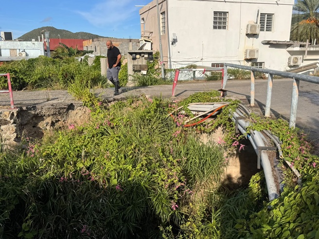 Suckergarden 1